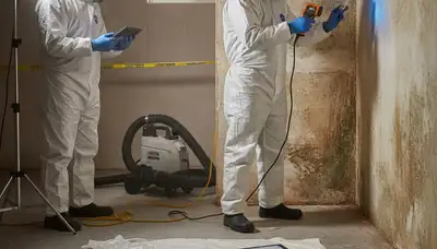 Mold inspection in Elk Grove, CA for water damage and moisture issues in a home